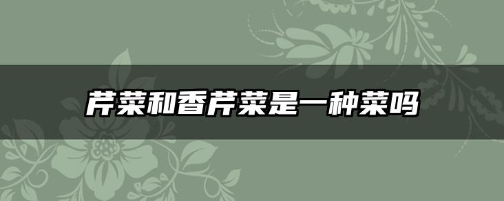 芹菜和香芹菜是一种菜吗