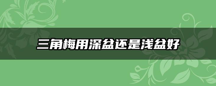 三角梅用深盆还是浅盆好