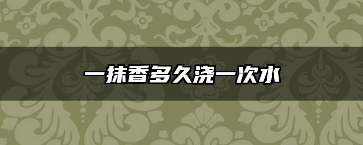 一抹香多久浇一次水