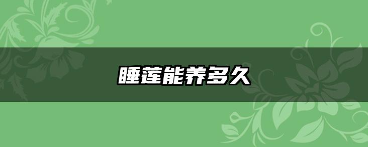 睡莲能养多久