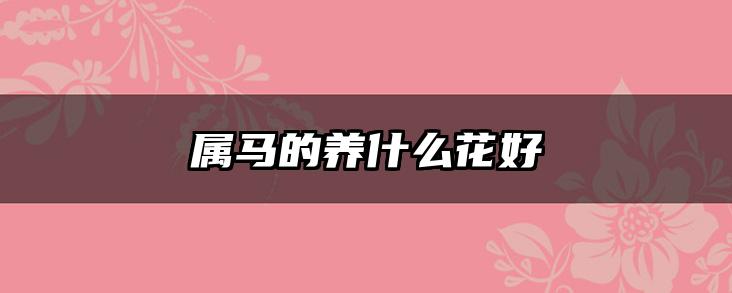 属马的养什么花好