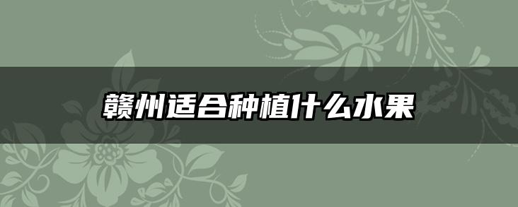 赣州适合种植什么水果