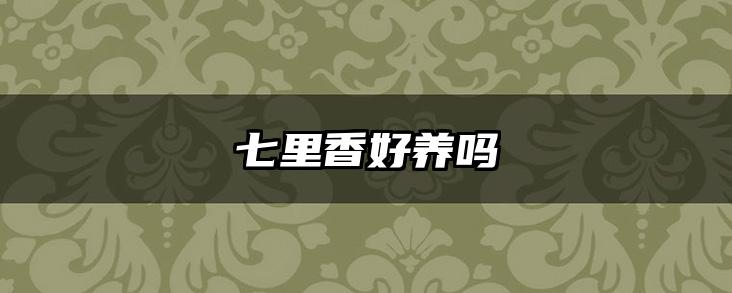 七里香好养吗