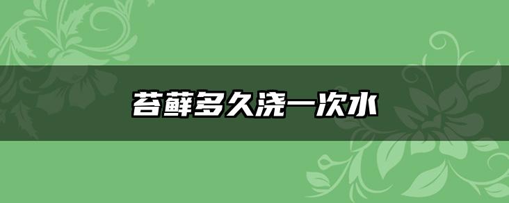 苔藓多久浇一次水