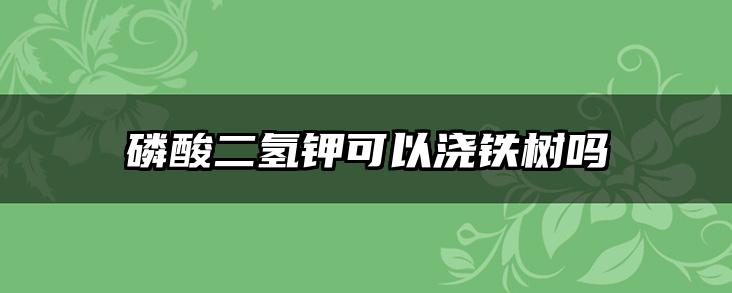 磷酸二氢钾可以浇铁树吗