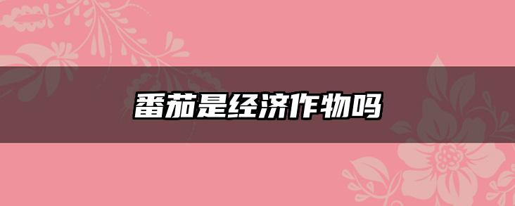 番茄是经济作物吗