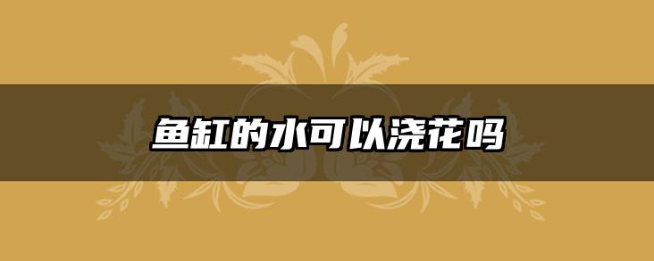 鱼缸的水可以浇花吗