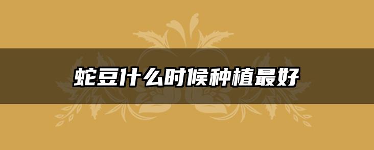 蛇豆什么时候种植最好