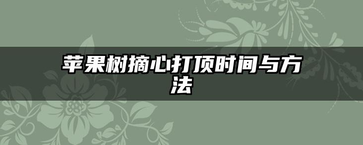 苹果树摘心打顶时间与方法