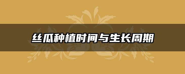 丝瓜种植时间与生长周期