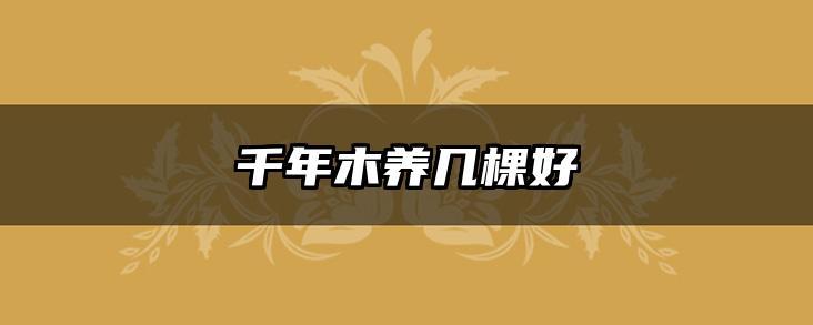 千年木养几棵好