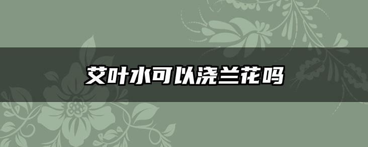 艾叶水可以浇兰花吗