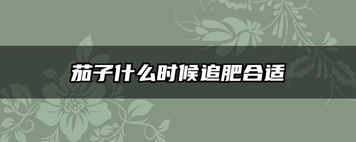 茄子什么时候追肥合适