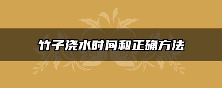竹子浇水时间和正确方法
