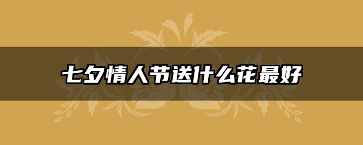 七夕情人节送什么花最好
