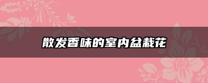 散发香味的室内盆栽花