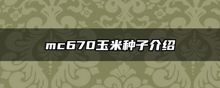mc670玉米种子介绍