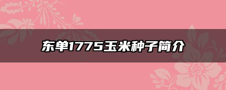 东单1775玉米种子简介