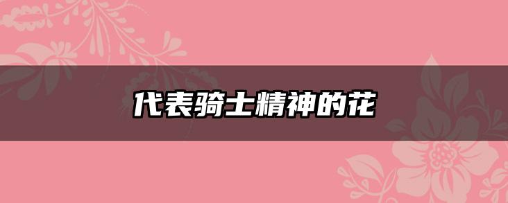 代表骑士精神的花
