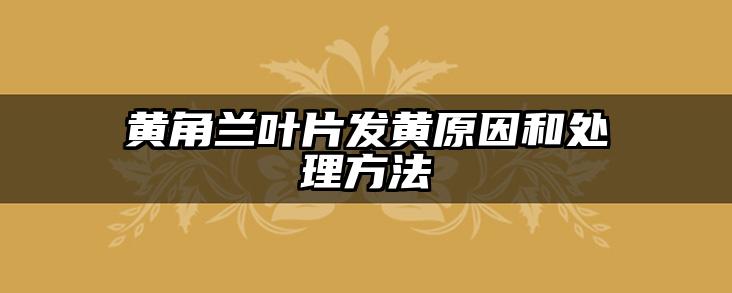 黄角兰叶片发黄原因和处理方法