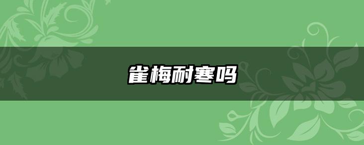 雀梅耐寒吗