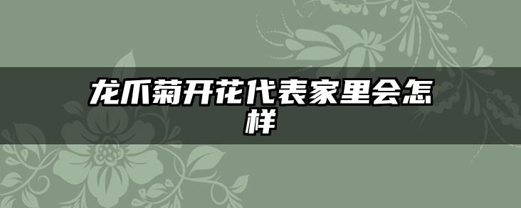 龙爪菊开花代表家里会怎样
