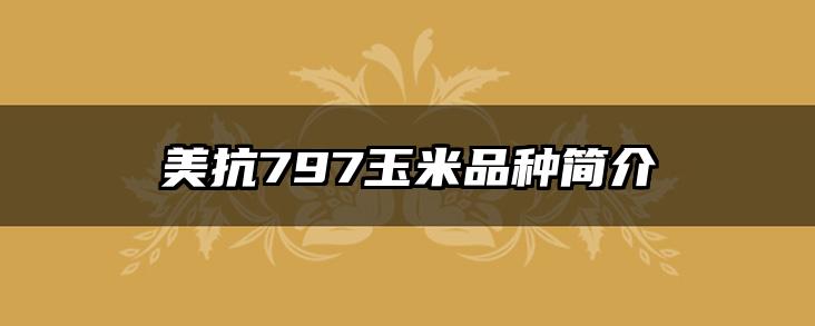 美抗797玉米品种简介