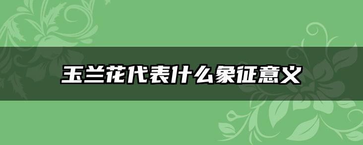 玉兰花代表什么象征意义