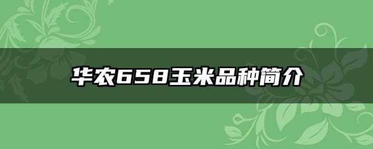 华农658玉米品种简介