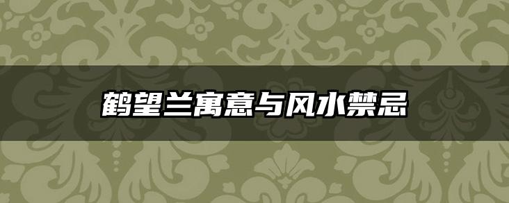 鹤望兰寓意与风水禁忌