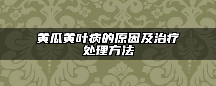 黄瓜黄叶病的原因及治疗处理方法