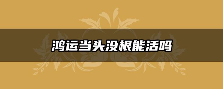 鸿运当头没根能活吗