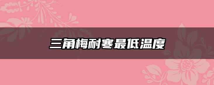 三角梅耐寒最低温度