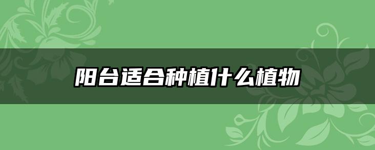 阳台适合种植什么植物