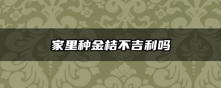 家里种金桔不吉利吗