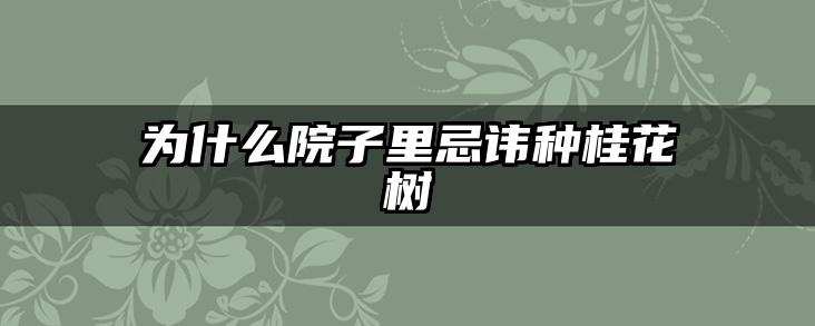 为什么院子里忌讳种桂花树