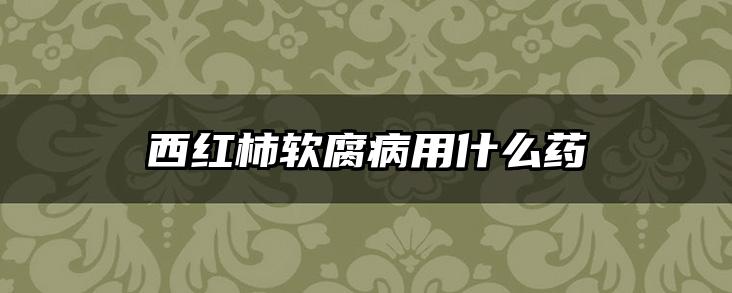西红柿软腐病用什么药