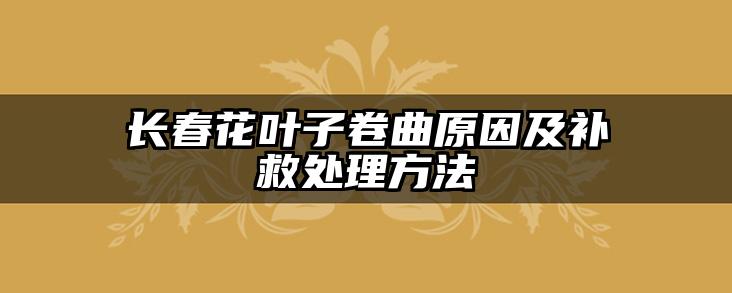 长春花叶子卷曲原因及补救处理方法