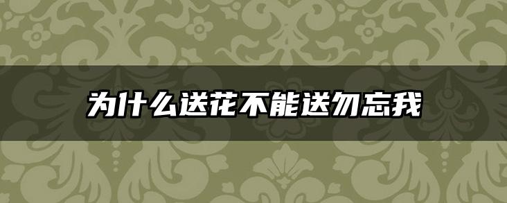 为什么送花不能送勿忘我