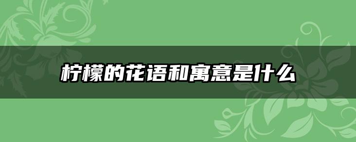 柠檬的花语和寓意是什么