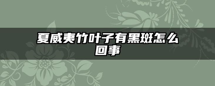 夏威夷竹叶子有黑斑怎么回事