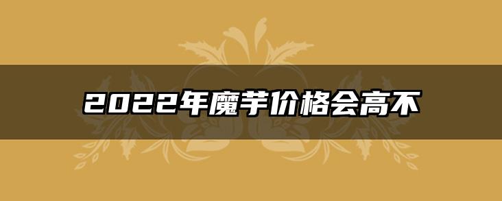 2022年魔芋价格会高不