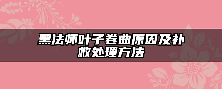 黑法师叶子卷曲原因及补救处理方法