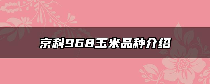 京科968玉米品种介绍