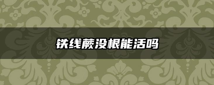 铁线蕨没根能活吗