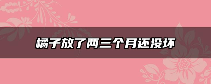 橘子放了两三个月还没坏