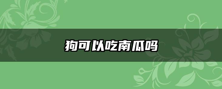 狗可以吃南瓜吗