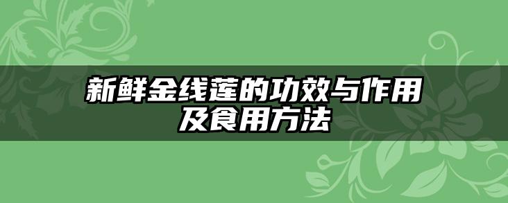 新鲜金线莲的功效与作用及食用方法