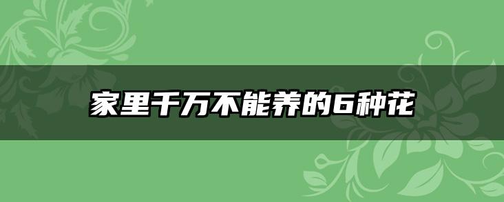 家里千万不能养的6种花
