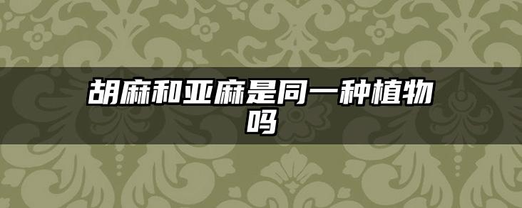 胡麻和亚麻是同一种植物吗